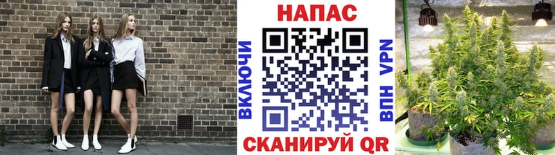 Бошки марихуана сатива  Невьянск 
